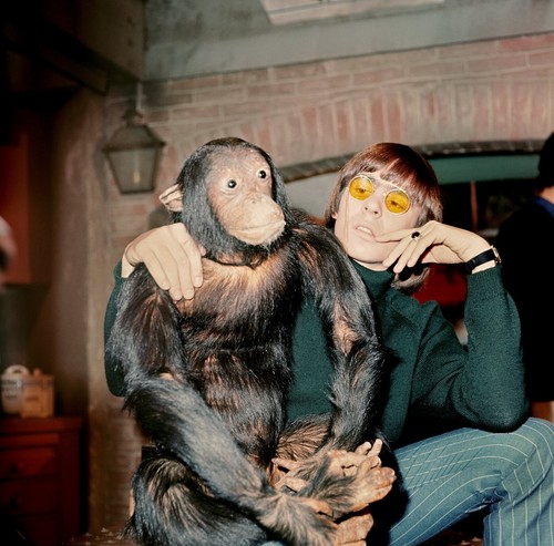Davy jones the - davy,