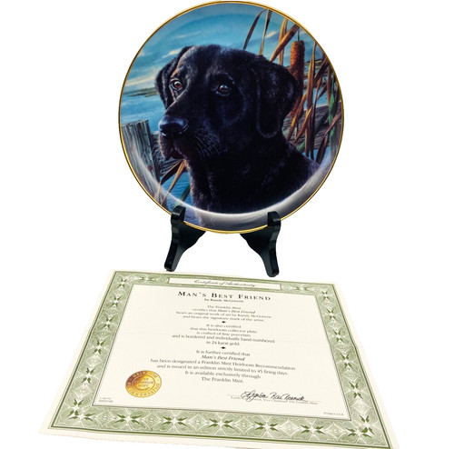 Man best friend franklin - best,