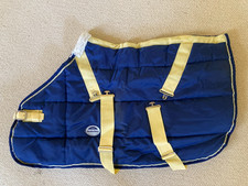 Weatherbeeta Jasper foal