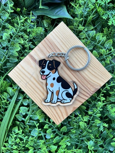Jack russell terrier dog - jack,