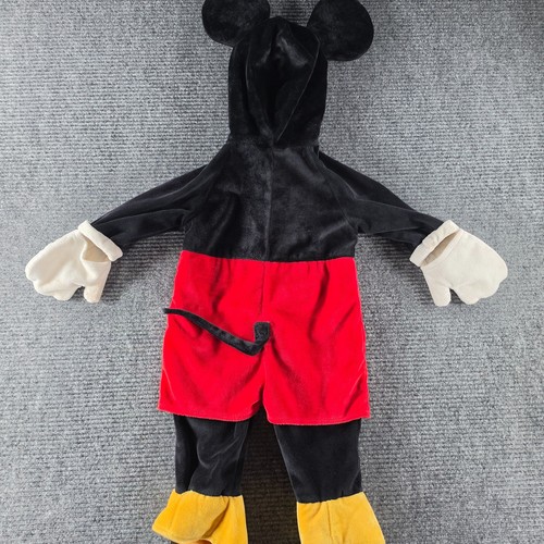 Disney parks mickey mouse - disney,