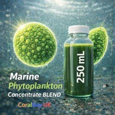 Marine phytoplankton 3 species