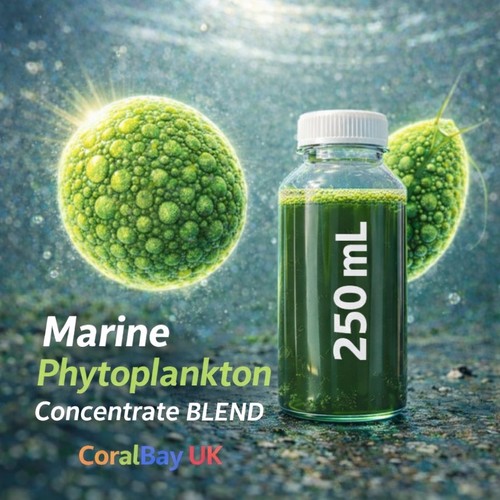 Marine phytoplankton species - marine, 3