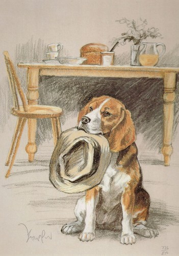 Beagle print picture - beagle,