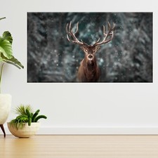 Red Deer Stag Winter Snow