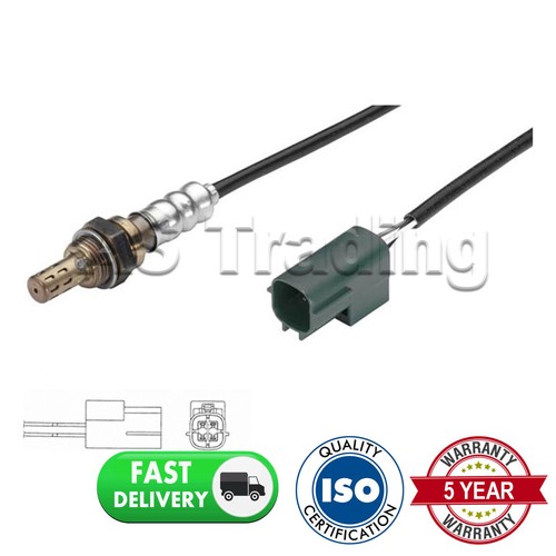 Rear left wire - oxygen, o2