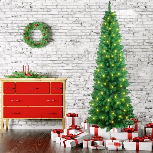 Green slim christmas tree with - slim,