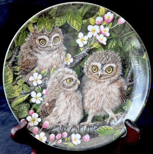 Wedgwood little owl - wedgwood,