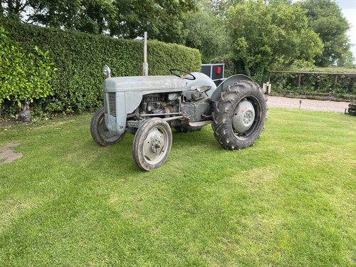 Grey massey ferguson tractor - massey,