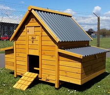 Large eco10002n chicken - large,