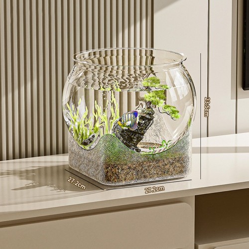 Transparent round fish bowl - fish,