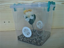 Praying Mantis Stick Insect spider 3.7L enclosure 2 Vents SLIGHT SECOND & decor