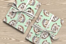Hedgehog Gift Wrap – Cute Watercolour Hedgehog Wrapping Paper for Birthdays W80