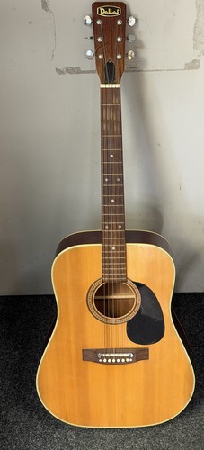 Dallas acoustic guitar - guitar,