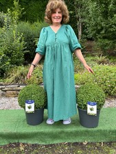 2 x Box (buxus) balls topiary Evergreen Large 30- 35 cm. diameter.