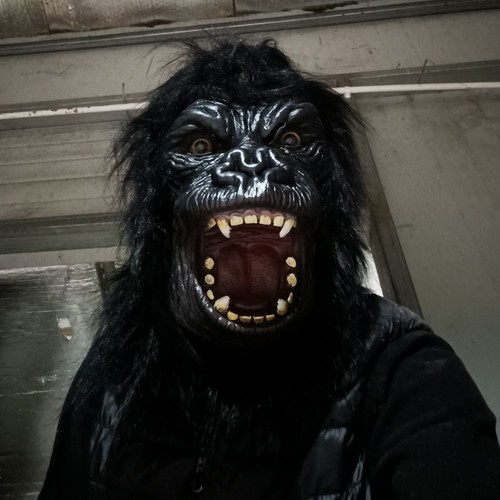 King kong gorilla - gorilla, mask