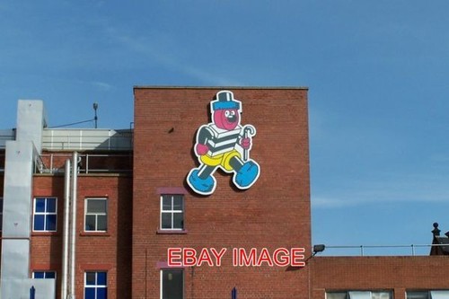 Photo bertie bassett - photo,