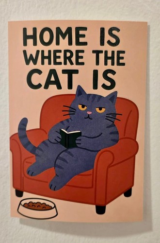 Funny grey cat - grey, postcard