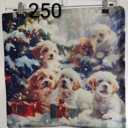 Christmas shih tzu - shih, apso