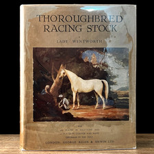 Thoroughbred Racing Stock Lady