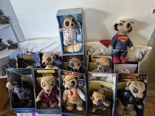 Compare the meerkat - 12,