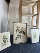 Three Beautiful Prints In In