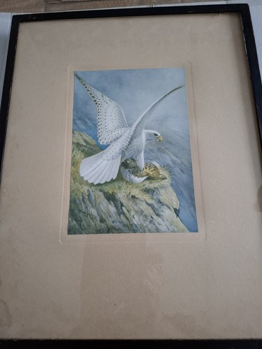 Antique framed art - antique,