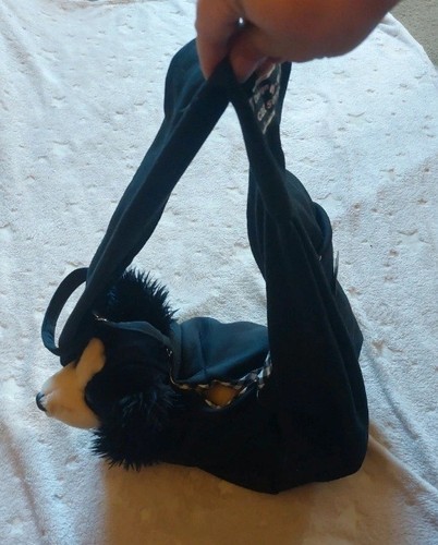 Pet cat puppy shoulder - puppy,