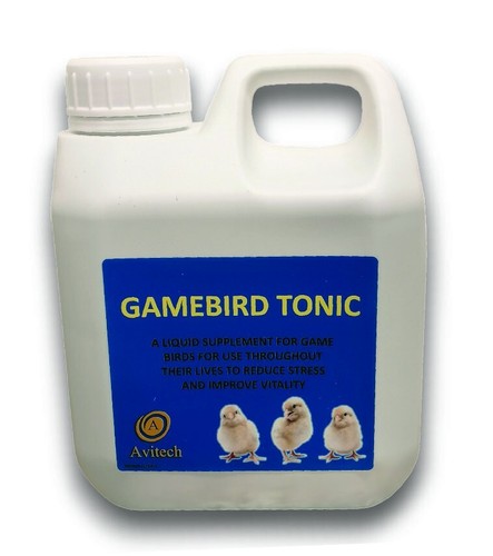 Game bird pigeon - game, &