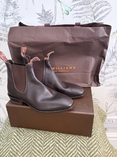 Williams chestnut yearling - m,