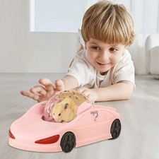 Pet Toyker Hamster Exercise