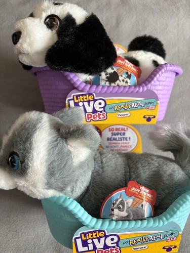 Two little live pets - two, my