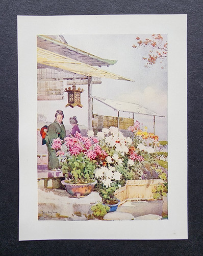 Antique 1908 print - print,