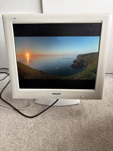 Philips monitor 170s2 vga - philips,