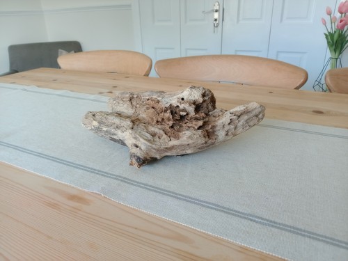 Driftwood for ornament - ,