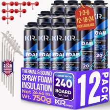 Spray Foam Insulation Can (12