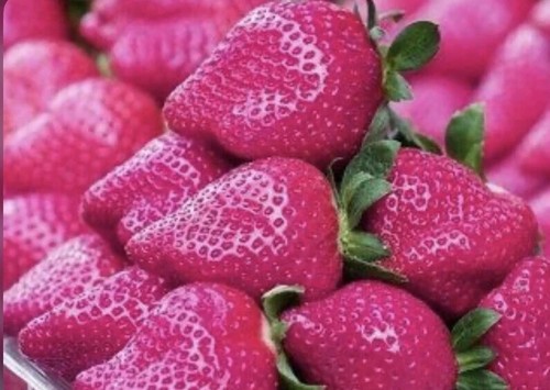 20x pink strawberry seeds - pink,