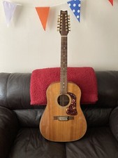 Vintage & Rare Washburn D25s-12N 12 String Acoustic Guitar