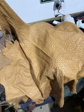 Ostrich Hide Leather Wallet