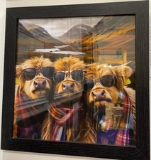 3 Highland Cows black frame