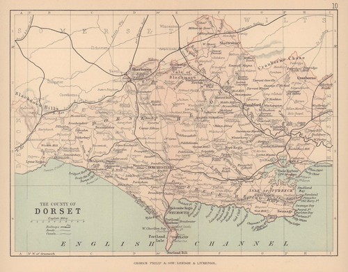Dorset antique county map - antique,