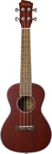 Adam Black Electric Acoustic