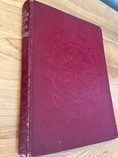 The Fifth Year Of War In Pictures