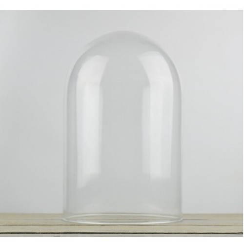 Glass dome display cloche - glass,