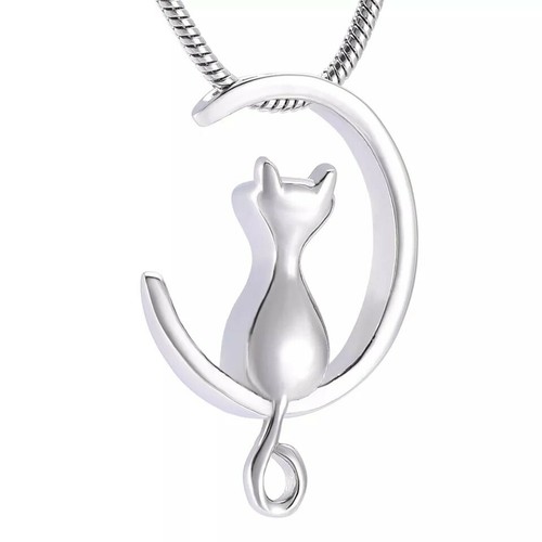 Cat moon pet - cat,