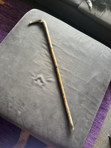 Vintage old antique antler - old,