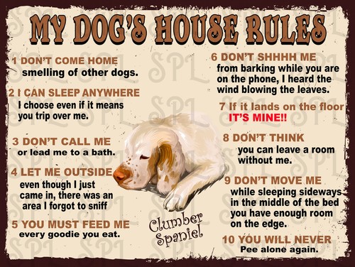 Clumber spaniel dog house - my,