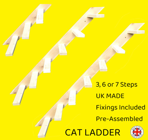 Cat ladder for - ladder, or