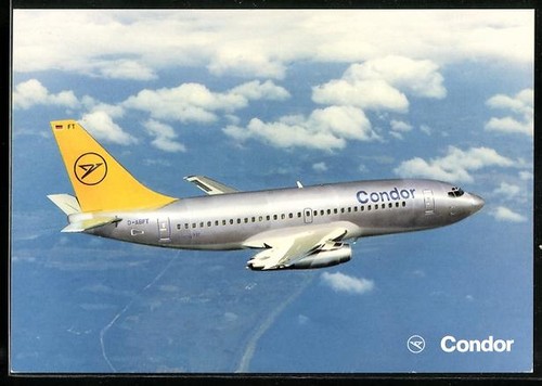 Postcard condor - postcard, a