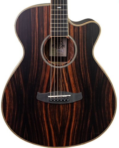 Acoustic guitar reunion - reunion, pro
